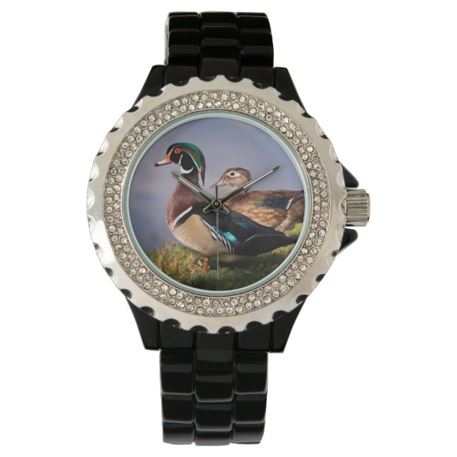 Reloj De Pulsera Lakeside, Pato de Carolina (Anverso)