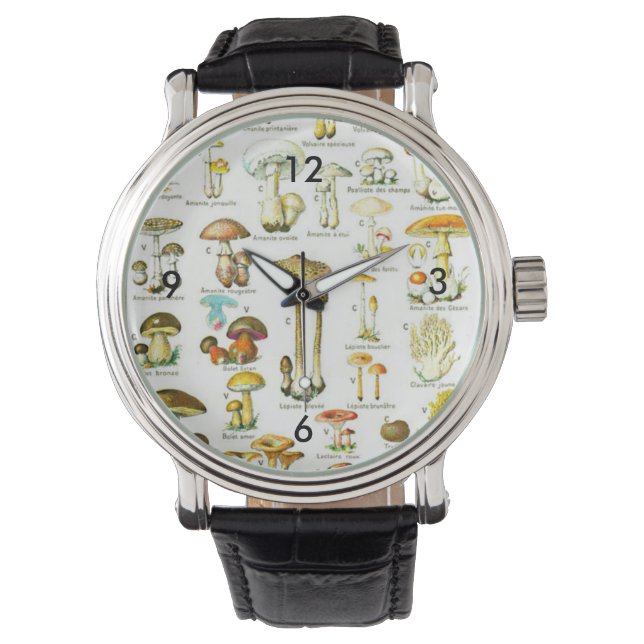 Reloj De Pulsera Larousse Mushroom Fungus Naturaleza Art Pintura (Anverso)