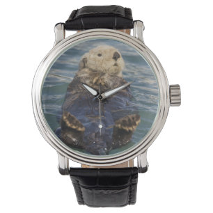 Reloj De Pulsera Las nutrias marinas juegan en icebergs en Surprise