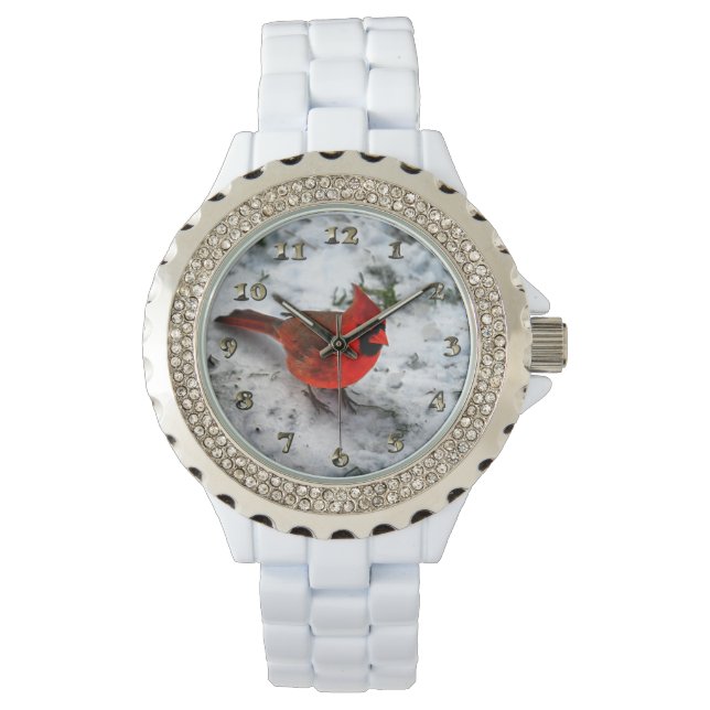 Reloj De Pulsera Las plumas del cardenal rojo y el desplome (Anverso)