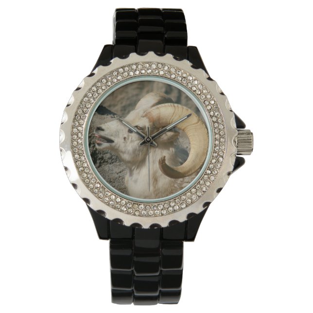 Reloj De Pulsera Laughing Bighorn Sheep (Anverso)
