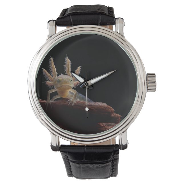 Reloj De Pulsera Lechuga cebada (Anverso)