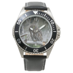 Reloj De Pulsera Lechuza pigmea del norte