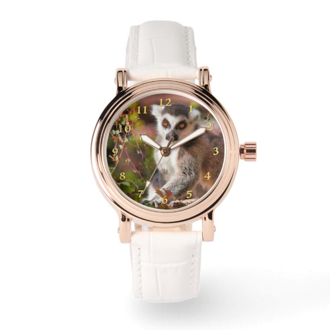 RELOJ DE PULSERA LEMUR LEISURE (Anverso)
