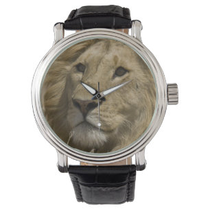 Reloj De Pulsera León africano, Panthera leo, retrato de un