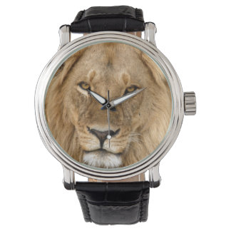 Reloj De Pulsera León Con Gran Melena