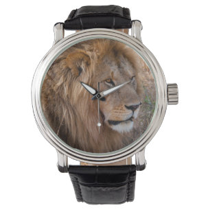 Reloj De Pulsera León Reserva Nacional Maasai Mara, Kenia
