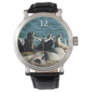 Reloj De Pulsera Leones del mar de San Diego
