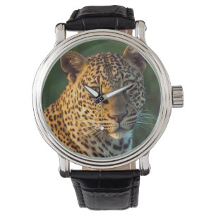 Reloj De Pulsera Leopardo Masculino (Panthera Pardus) Cubo de creci
