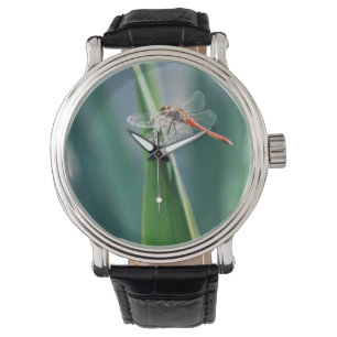 Reloj De Pulsera Libélula