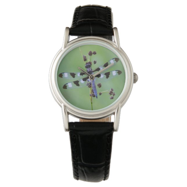 Reloj De Pulsera Libélula posada en la hierba, Canadá (Anverso)