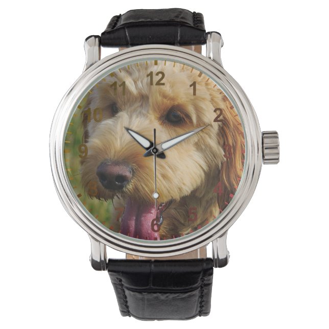 Reloj De Pulsera Lindo perro Goldendoodle (Anverso)