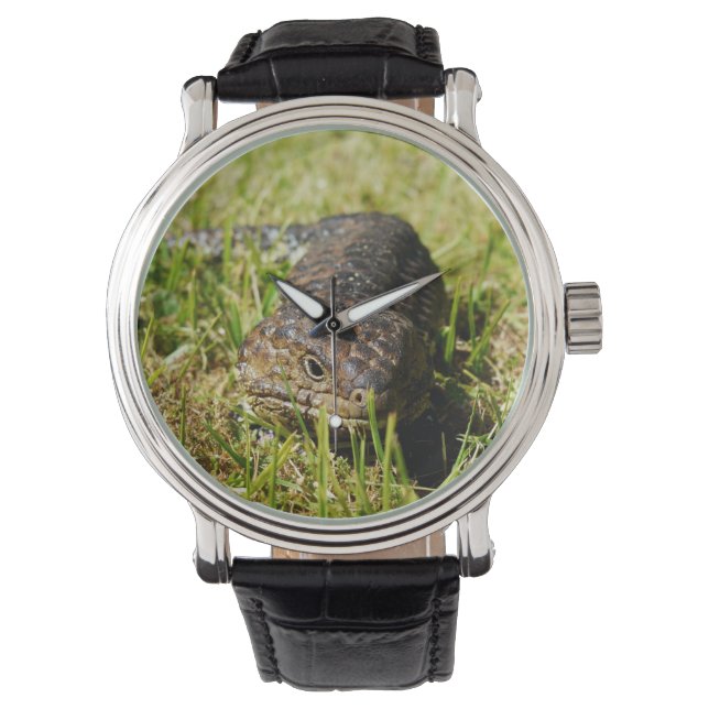 Reloj De Pulsera Lizard de lengua azul australiana, (Anverso)