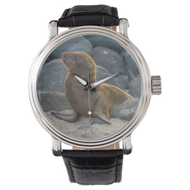 Reloj De Pulsera Lobo Marino de Galápagos (Anverso)