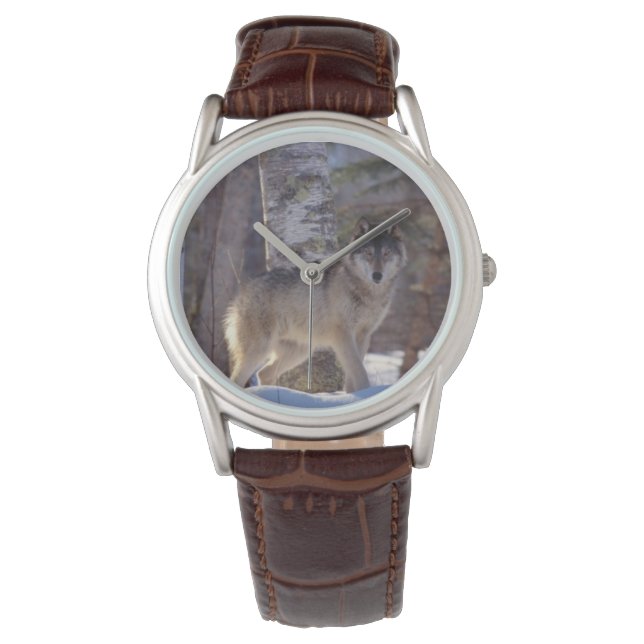 Reloj De Pulsera Lobo Mens Classic Watch/Willife (Anverso)