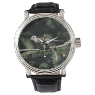 Reloj De Pulsera Lophophanes cristatus