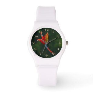 Reloj De Pulsera Loro en vuelo
