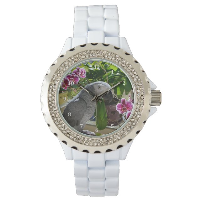 Reloj De Pulsera Loro gris africano con orquídeas (Anverso)
