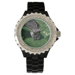 Reloj De Pulsera Los burros no se comen folletos salvajes