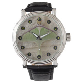 Reloj De Pulsera Luna Moth