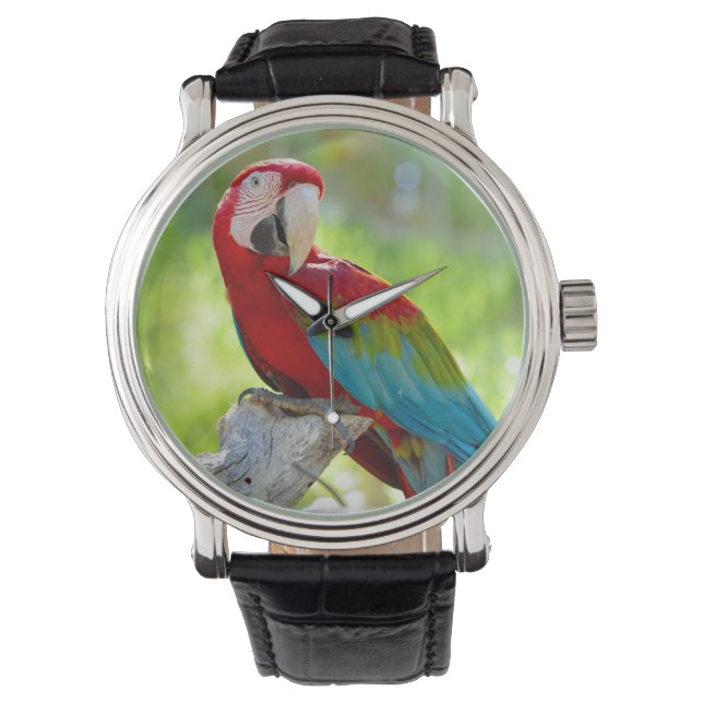Reloj De Pulsera Macaw sentado en una rama (Anverso)