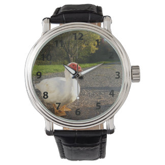 Reloj De Pulsera Macho Muscovy Duck Watch
