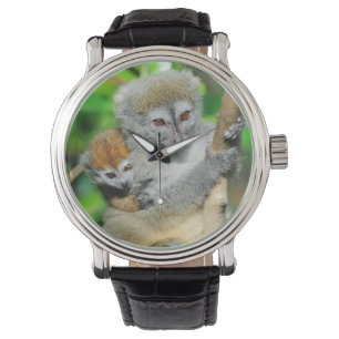 Reloj De Pulsera Madagascar, Andasibe, Isla de los Lémures, Madre