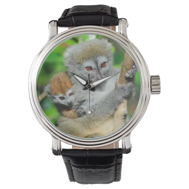 Reloj De Pulsera Madagascar, Andasibe, Isla de los Lémures, Madre (Anverso)