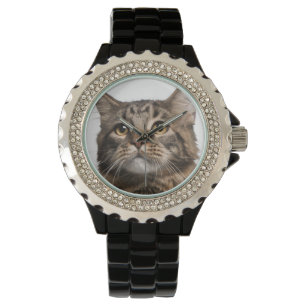 Reloj De Pulsera Maine Coon (8 meses de edad)