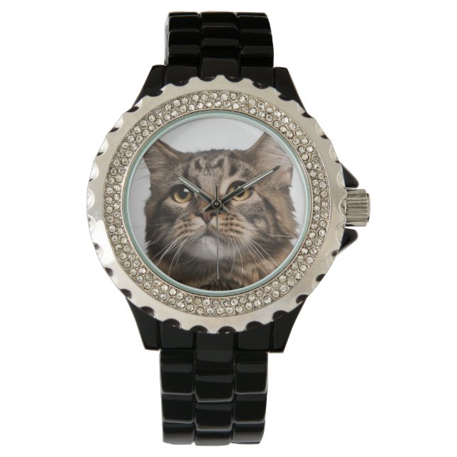 Reloj De Pulsera Maine Coon (8 meses de edad) (Anverso)