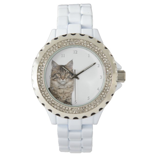 Reloj De Pulsera Maine Coon Cat Watch (Anverso)