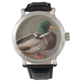 Reloj De Pulsera Mallard Duck Drake Watch