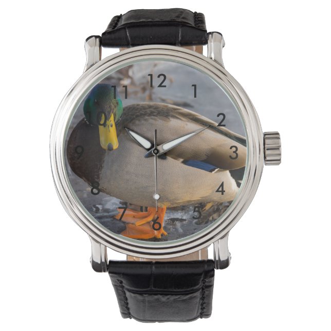 Reloj De Pulsera Mallard Sobre Hielo (Anverso)
