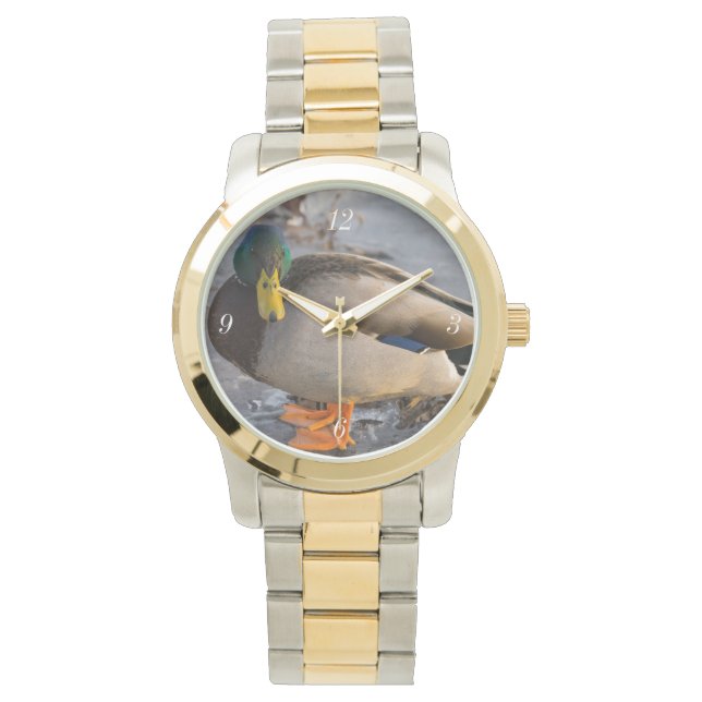 Reloj De Pulsera Mallard Sobre Hielo (Anverso)