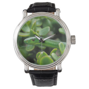 Reloj De Pulsera Mamba verde oriental (Dendroaspis Angusticeps)