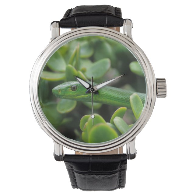 Reloj De Pulsera Mamba verde oriental (Dendroaspis Angusticeps) (Anverso)