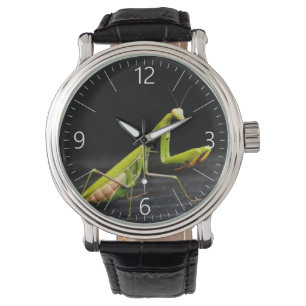 Reloj De Pulsera Mantis rezando