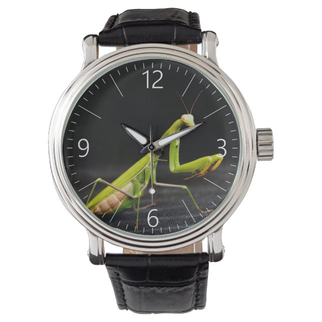 Reloj De Pulsera Mantis rezando (Anverso)