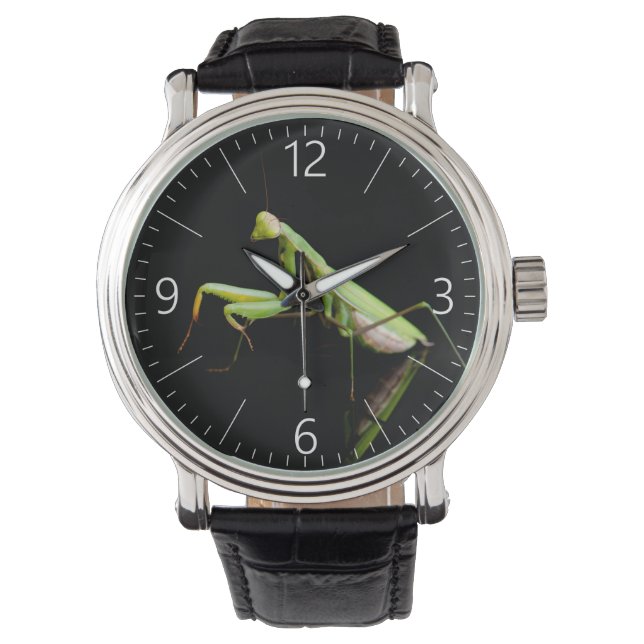 Reloj De Pulsera Mantis rezando (Anverso)