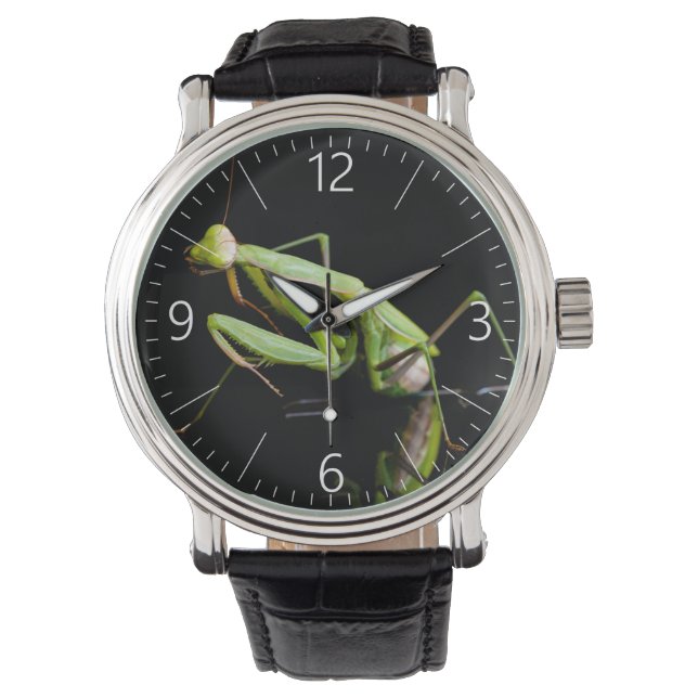 Reloj De Pulsera Mantis rezando (Anverso)