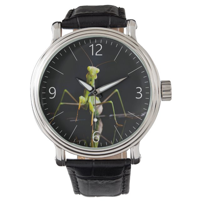 Reloj De Pulsera Mantis rezando (Anverso)