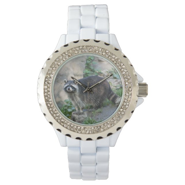 Reloj De Pulsera Mapache (Anverso)