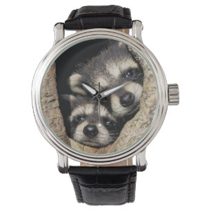 Reloj De Pulsera Mapaches bebés en cavidad del árbol Procyon