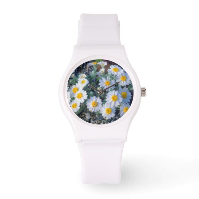 Reloj De Pulsera Margaritas lanudas (Anverso)