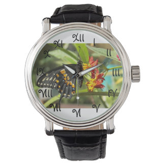 Reloj De Pulsera Mariposa Black Swallowtail #2-watch