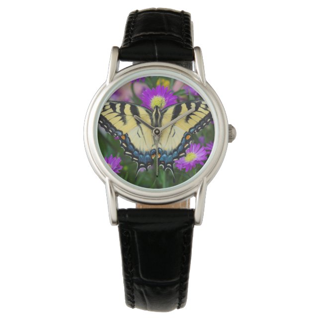 Reloj De Pulsera Mariposa de cola cruda en margarita (Anverso)