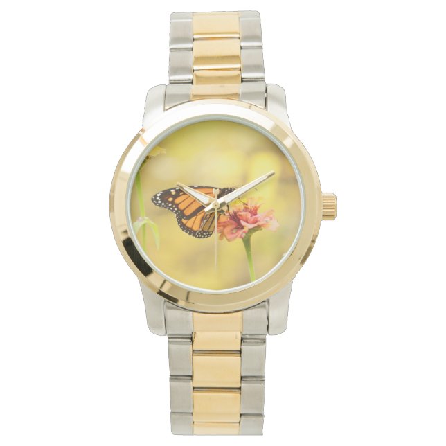 Reloj De Pulsera Mariposa monarca en Zambia (Anverso)