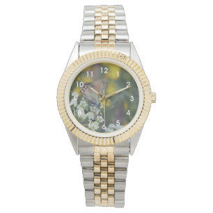 Reloj De Pulsera Mariposa saltadora en una flor