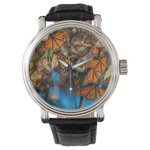 Reloj De Pulsera Mariposas monarcas migratorias aferradas a hojas