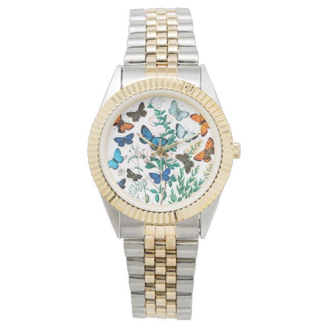 Reloj De Pulsera Mariposas, orugas de William Forsell Kirby (Anverso)